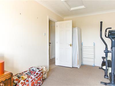 Picture 15